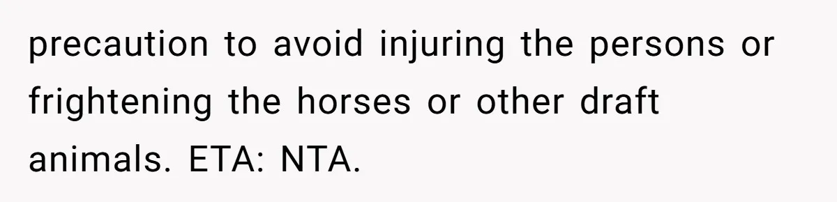 precaution to avoid injuring the persons or frightening the horses or other draft animals. ETA: NTA.