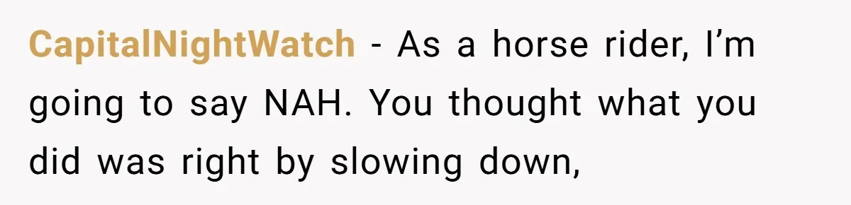 CapitalNightWatch − As a horse rider, I’m going to say NAH. You thought what you did was right by slowing down,