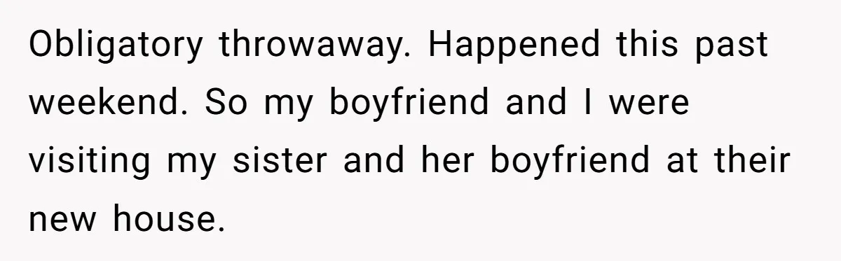 Obligatory throwaway. Happened this past weekend. So my boyfriend and I were visiting my sister and her boyfriend at their new house.