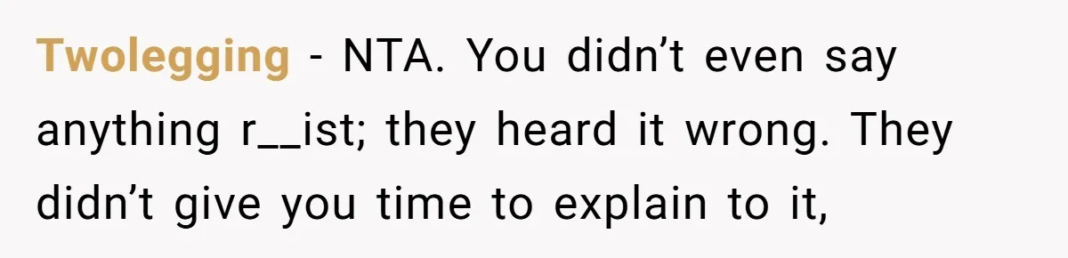 Twolegging − NTA. You didn’t even say anything r__ist; they heard it wrong. They didn’t give you time to explain to it,