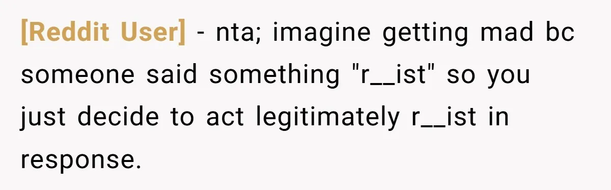 [Reddit User] − nta; imagine getting mad bc someone said something "r__ist" so you just decide to act legitimately r__ist in response.