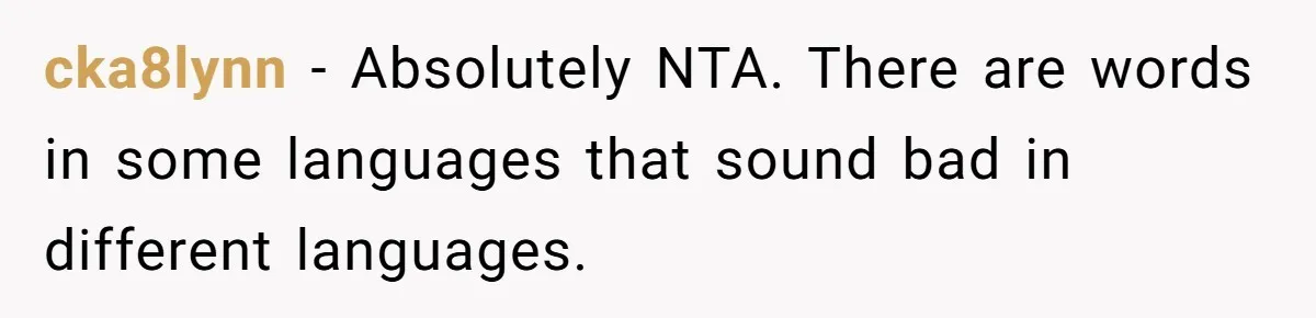 cka8lynn − Absolutely NTA. There are words in some languages that sound bad in different languages.