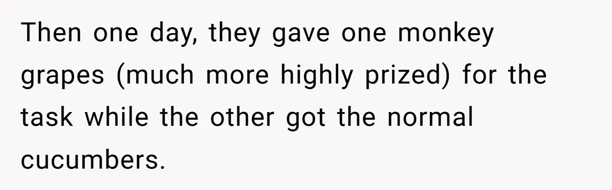 Then one day, they gave one monkey grapes (much more highly prized) for the task while the other got the normal cucumbers.