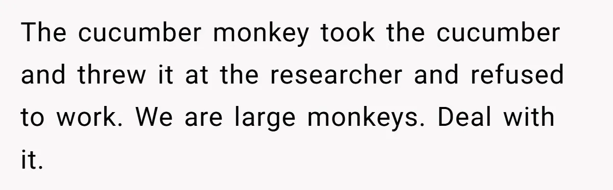 The cucumber monkey took the cucumber and threw it at the researcher and refused to work. We are large monkeys. Deal with it.