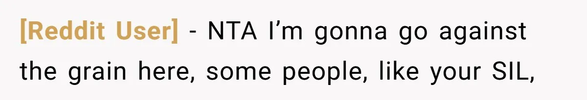 [Reddit User] − NTA I’m gonna go against the grain here, some people, like your SIL,