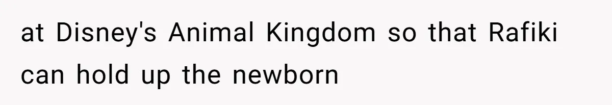 at Disney's Animal Kingdom so that Rafiki can hold up the newborn
