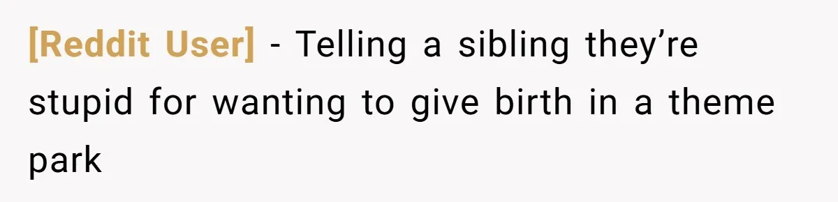 [Reddit User] − Telling a sibling they’re stupid for wanting to give birth in a theme park
