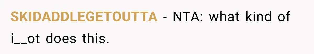 SKIDADDLEGETOUTTA − NTA: what kind of i__ot does this.