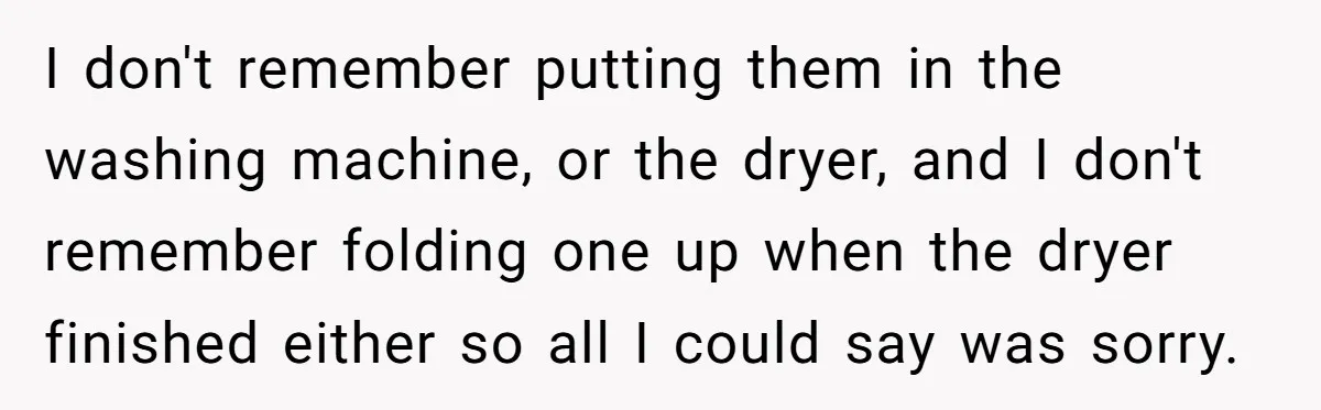 I don't remember putting them in the washing machine, or the dryer, and I don't remember folding one up when the dryer finished either so all I could say was...