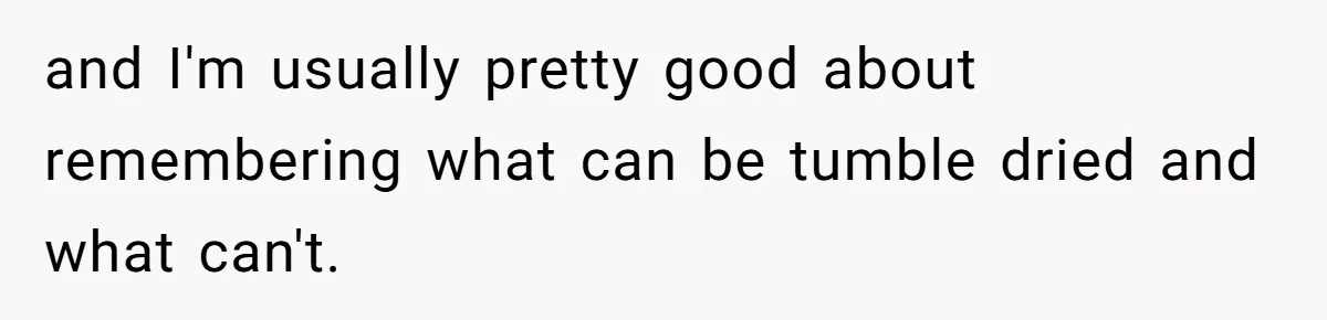 and I'm usually pretty good about remembering what can be tumble dried and what can't.