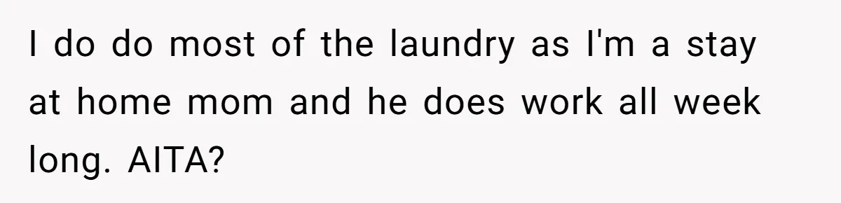 I do do most of the laundry as I'm a stay at home mom and he does work all week long. AITA?