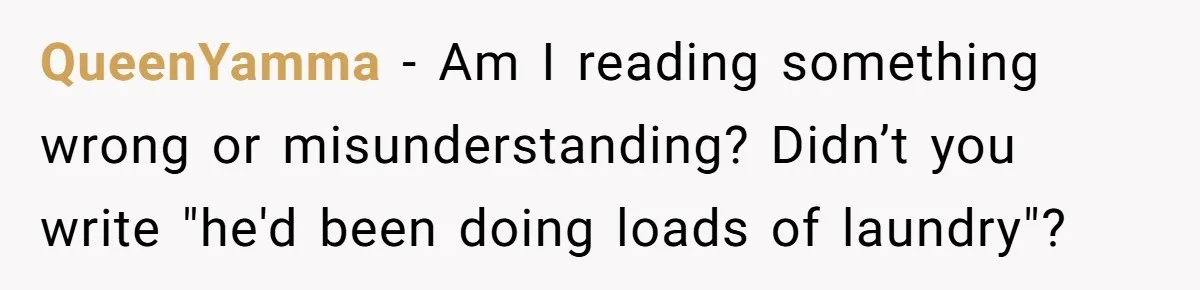 QueenYamma − Am I reading something wrong or misunderstanding? Didn’t you write "he'd been doing loads of laundry"?