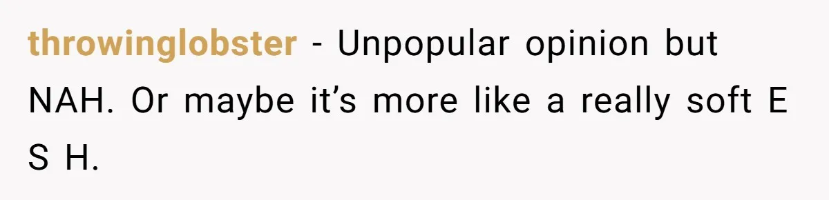throwinglobster − Unpopular opinion but NAH. Or maybe it’s more like a really soft E S H.