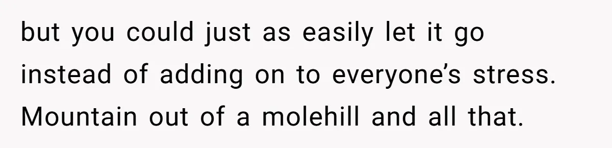 but you could just as easily let it go instead of adding on to everyone’s stress. Mountain out of a molehill and all that.