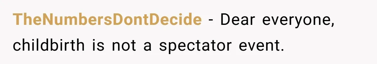 TheNumbersDontDecide − Dear everyone, childbirth is not a spectator event.