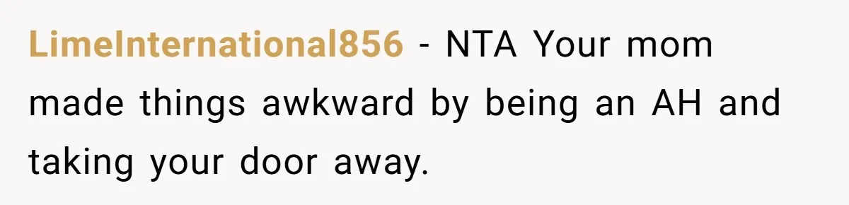 LimeInternational856 − NTA Your mom made things awkward by being an AH and taking your door away.