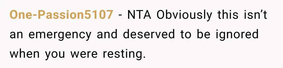 One-Passion5107 − NTA Obviously this isn’t an emergency and deserved to be ignored when you were resting.