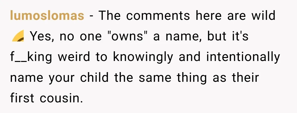 lumoslomas − The comments here are wild 😂 Yes, no one "owns" a name, but it's f__king weird to knowingly and intentionally name your child the same thing as their...