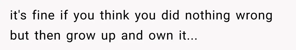 it's fine if you think you did nothing wrong but then grow up and own it...