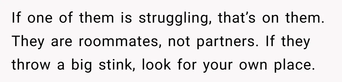 If one of them is struggling, that’s on them. They are roommates, not partners. If they throw a big stink, look for your own place.