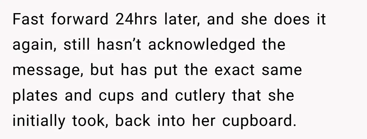 Fast forward 24hrs later, and she does it again, still hasn’t acknowledged the message, but has put the exact same plates and cups and cutlery that she initially took, back...