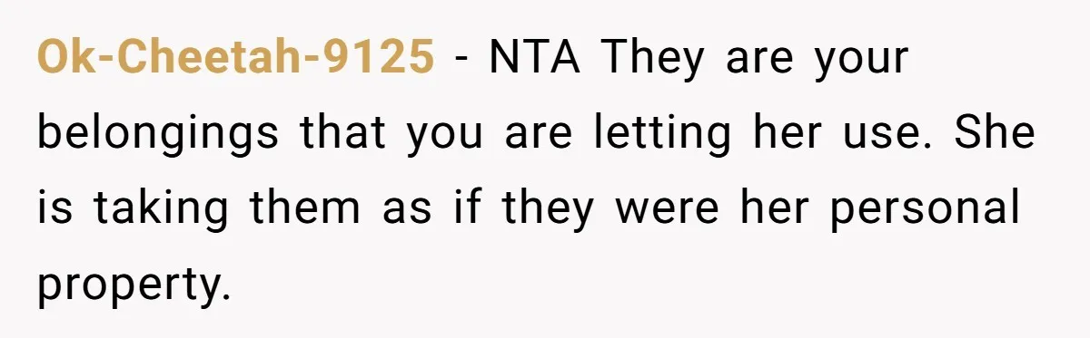 Ok-Cheetah-9125 − NTA They are your belongings that you are letting her use. She is taking them as if they were her personal property.