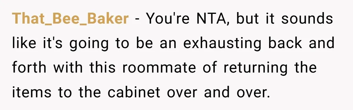 That_Bee_Baker − You're NTA, but it sounds like it's going to be an exhausting back and forth with this roommate of returning the items to the cabinet over and over.