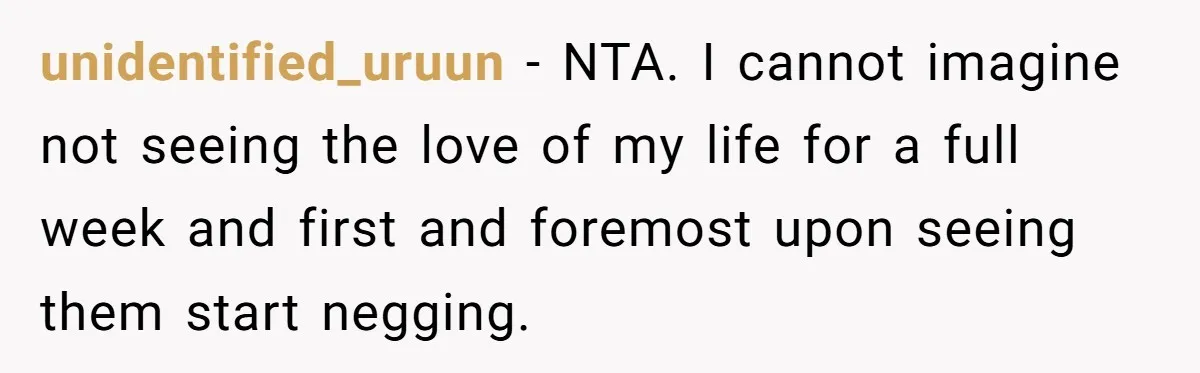 unidentified_uruun − NTA. I cannot imagine not seeing the love of my life for a full week and first and foremost upon seeing them start negging.