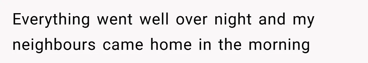 Everything went well over night and my neighbours came home in the morning