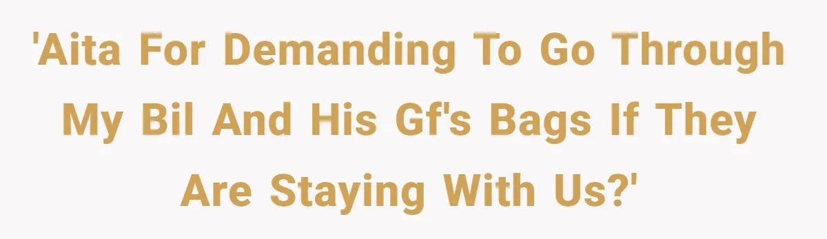 'AITA for demanding to go through my BIL and his GF's bags if they are staying with us?'