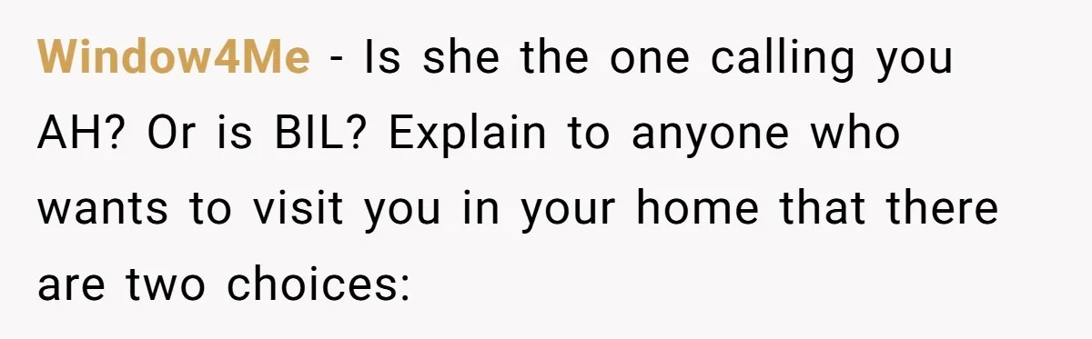 Window4Me − Is she the one calling you AH? Or is BIL? Explain to anyone who wants to visit you in your home that there are two choices: