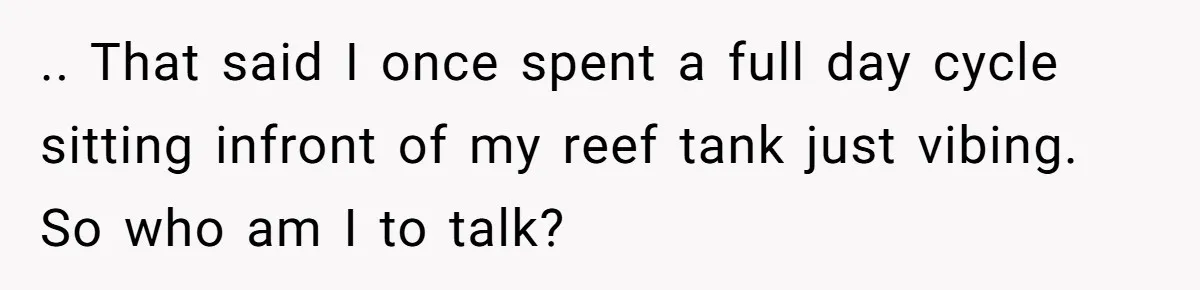 .. That said I once spent a full day cycle sitting infront of my reef tank just vibing. So who am I to talk?