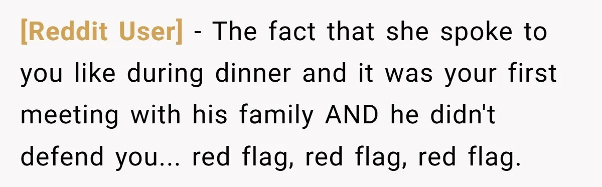[Reddit User] − The fact that she spoke to you like during dinner and it was your first meeting with his family AND he didn't defend you... red flag, red...