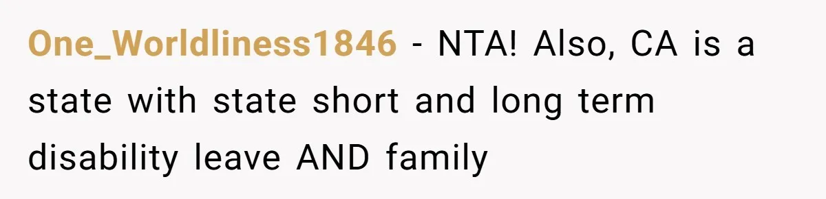 One_Worldliness1846 − NTA! Also, CA is a state with state short and long term disability leave AND family