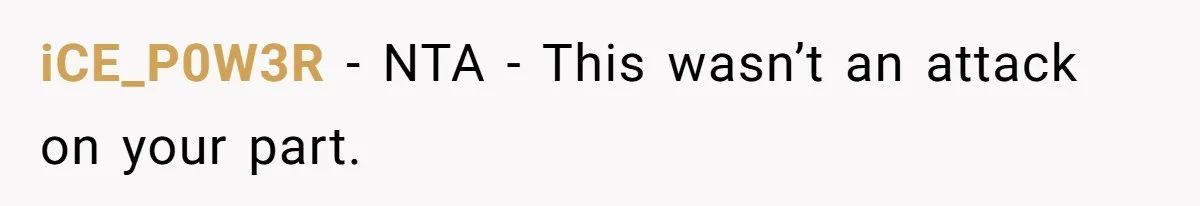 iCE_P0W3R − NTA - This wasn’t an attack on your part.