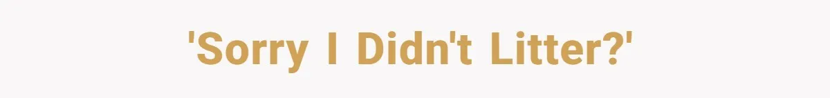 'Sorry I didn't litter?'