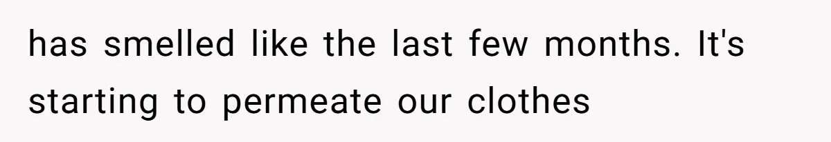 has smelled like the last few months. It's starting to permeate our clothes