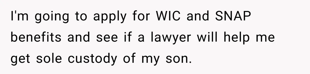 I'm going to apply for WIC and SNAP benefits and see if a lawyer will help me get sole custody of my son.