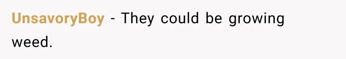 UnsavoryBoy − They could be growing weed.