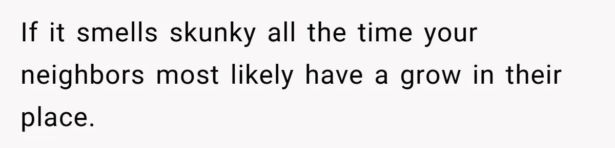 If it smells skunky all the time your neighbors most likely have a grow in their place.