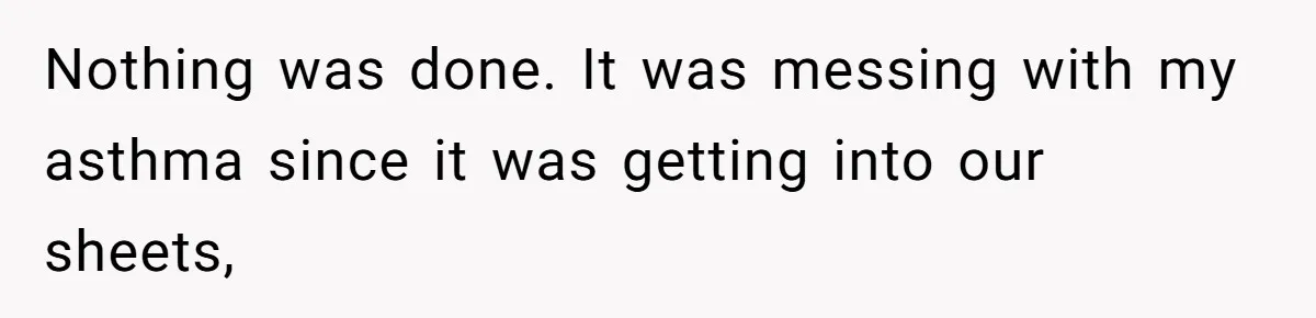 Nothing was done. It was messing with my asthma since it was getting into our sheets,