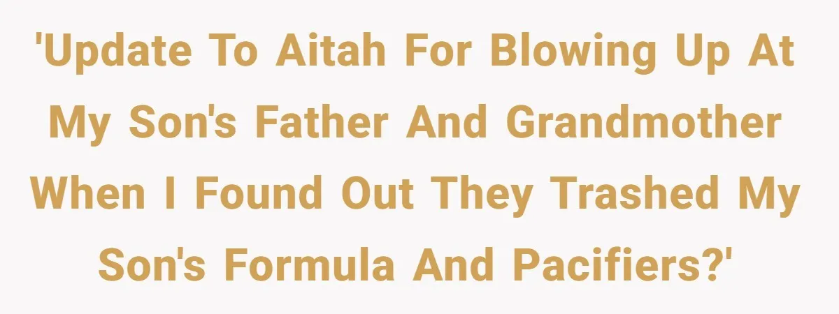'UPDATE to AITAH for blowing up at my son's father and grandmother when I found out they trashed my son's formula and pacifiers?'
