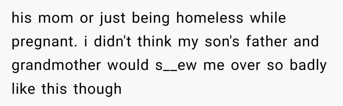his mom or just being homeless while pregnant. i didn't think my son's father and grandmother would s__ew me over so badly like this though