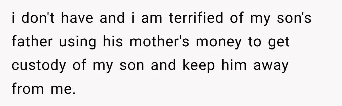 i don't have and i am terrified of my son's father using his mother's money to get custody of my son and keep him away from me.