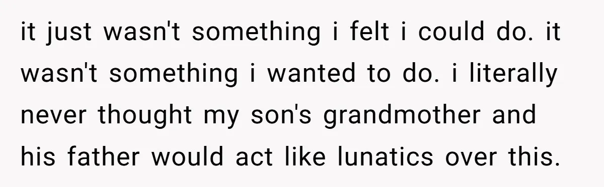 it just wasn't something i felt i could do. it wasn't something i wanted to do. i literally never thought my son's grandmother and his father would act like lunatics...