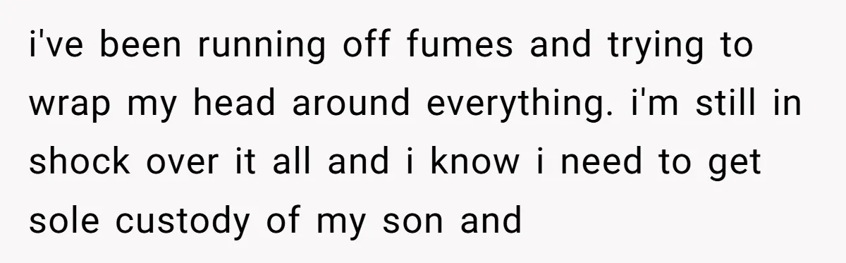 i've been running off fumes and trying to wrap my head around everything. i'm still in shock over it all and i know i need to get sole custody of...