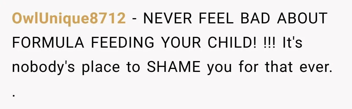 OwlUnique8712 − NEVER FEEL BAD ABOUT FORMULA FEEDING YOUR CHILD! !!! It's nobody's place to SHAME you for that ever. .