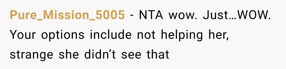 Pure_Mission_5005 − NTA wow. Just…WOW. Your options include not helping her, strange she didn’t see that