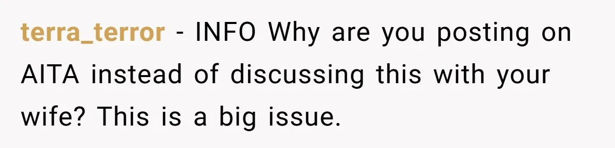 terra_terror − INFO Why are you posting on AITA instead of discussing this with your wife? This is a big issue.