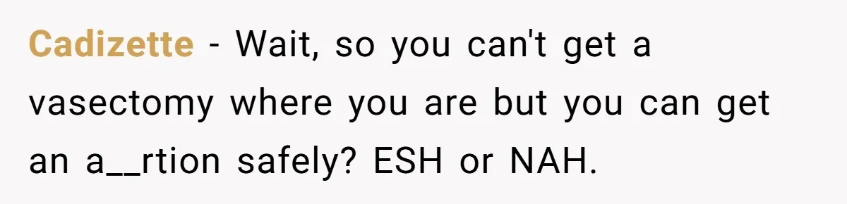 Cadizette − Wait, so you can't get a vasectomy where you are but you can get an a__rtion safely? ESH or NAH.